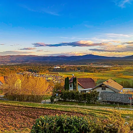 Vineyard Tilka * Novo Mesto